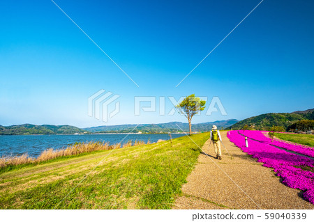 Togoike Shibazakura Nordic Walking 59040339