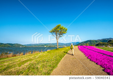 東鄉池櫻倉越野行走 東鄉池櫻倉越野行走 59040341