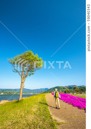 Togoike Shibazakura Nordic Walking 59040343