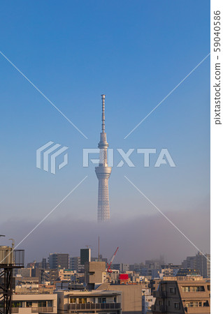 霧上的東京天空樹 59040586