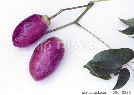 Mubane nuts 59040820