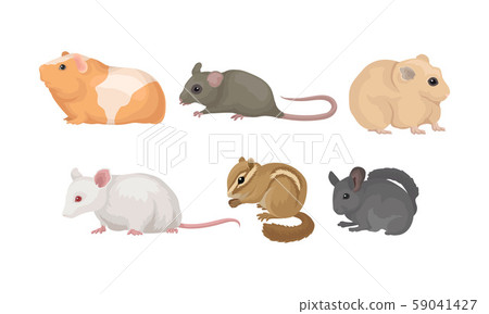 Small Gnawing Animals Vector Set Isolated On... - Stock Illustration ...