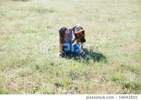 Woman trains trained sheepdog in field dog Woman trains trained sheepdog in field dog 59042605