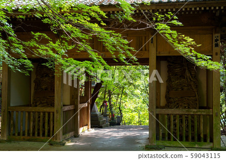 四國公墓71號比爾·門八谷(三門) 四國公墓71號比爾·門八谷(三門) 59043115