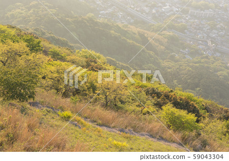 山自然 山自然 59043304