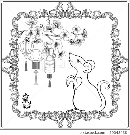 Chinese New Year symbols. Year of the rat 2020. 59048488