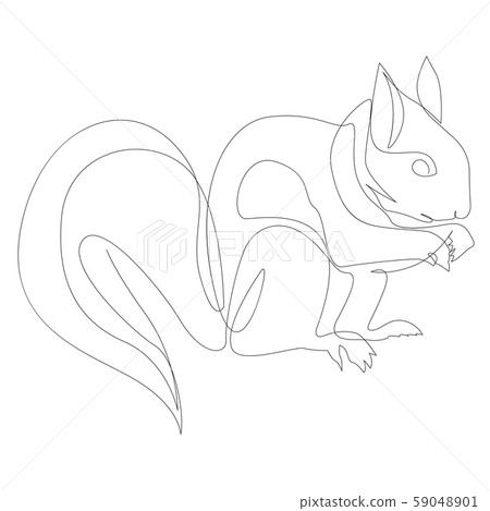 One line squirrel drawing. Squirrel in minimal line style vector illustration One line squirrel drawing. Squirrel in minimal line style vector illustration 59048901