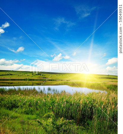 A picturesque lake overgrown with reeds. 59049931
