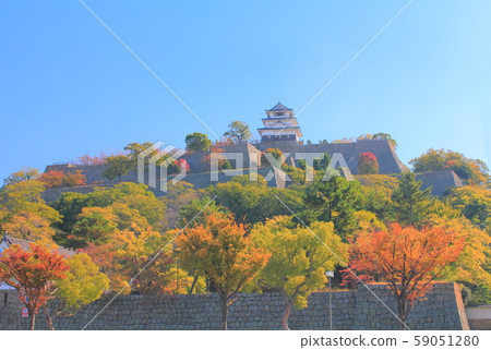 [Kagawa Prefecture] Marugame Castle 59051280