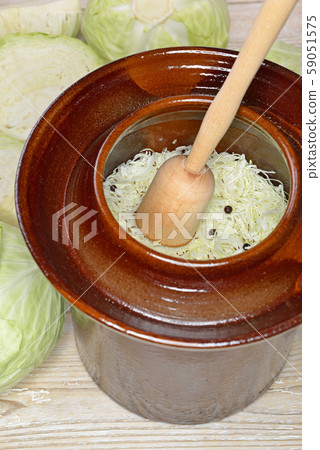 Food fermentation, making sauerkraut: White cabbage with a wooden pounder in a harvest crock 59051575