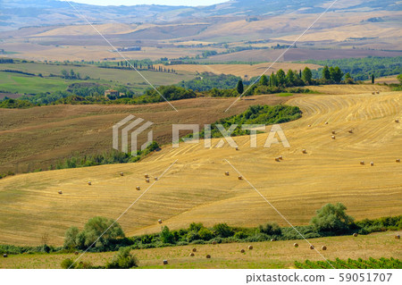 Aerial summer rural landscape of Tuscany Aerial summer rural landscape of Tuscany 59051707