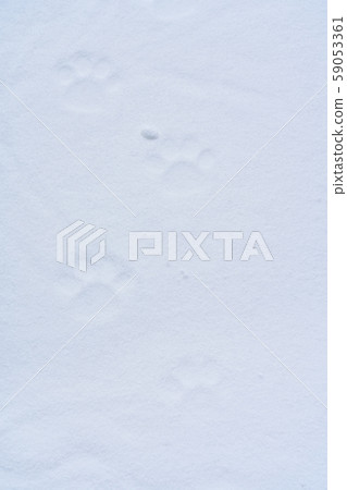 Rut Rut 59053361