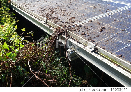 Solar power plant surrounded by weeds 59053451