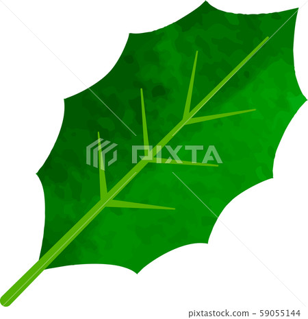 Hiiragi_illustration_vector_hollywood_setsubun_christmas_leaves_green 59055144