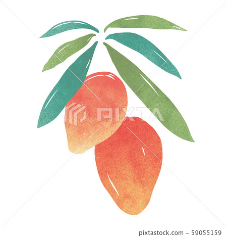 Mango illustration, watercolor style 59055159