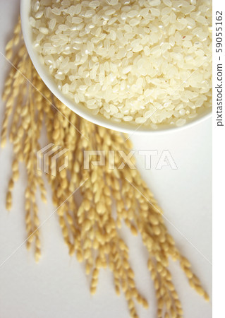 米飯 米飯 59055162