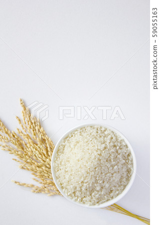 米飯 米飯 59055163