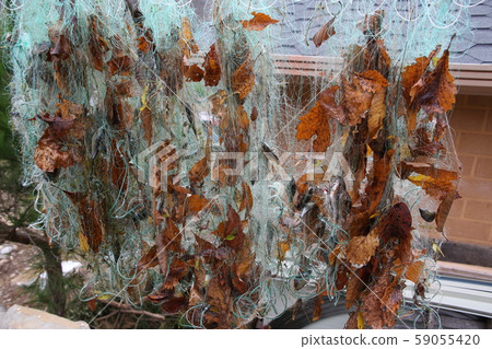 旌善邑旌善郡江原道 59055420