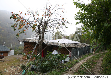 旌善邑旌善郡江原道 59055421