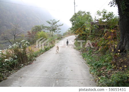 旌善邑旌善郡江原道 旌善邑旌善郡江原道 59055431