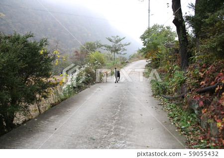 旌善邑旌善郡江原道 旌善邑旌善郡江原道 59055432