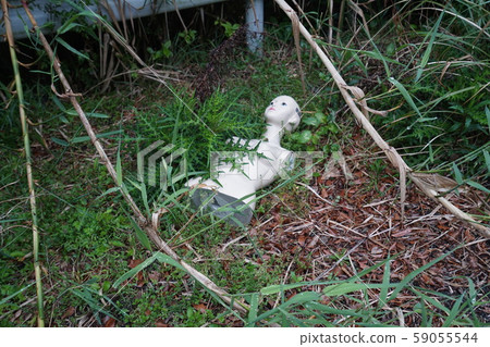 Abandoned ruins Muroto city 59055544