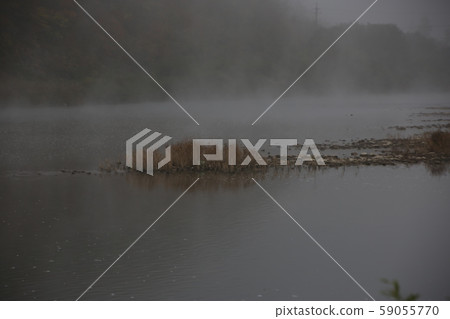Gangwon-do, Jeongseon-gun, Jeongseon-eup Gangwon-do, Jeongseon-gun, Jeongseon-eup 59055770