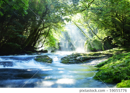 Kikuchi Gorge 59055776