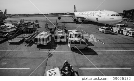 Cherry blossom and sky and airplane Cherry blossom and sky and airplane 59056183
