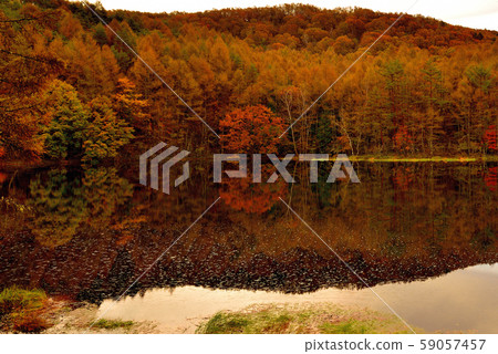 Okashina in early autumn 59057457