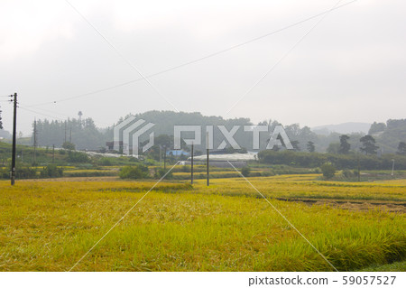 Autumn landscape Autumn landscape 59057527