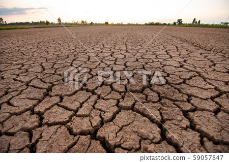 The land is dry and parched due to lack of water, which is a result of global warming and greenhouse conditions. The land is dry and parched due to lack of water, which is a result of global warming and greenhouse conditions. 59057847
