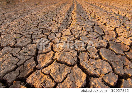 The land is dry and parched due to lack of water, which is a result of global warming and greenhouse conditions. The land is dry and parched due to lack of water, which is a result of global warming and greenhouse conditions. 59057855