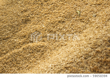 Rice husk 59058394