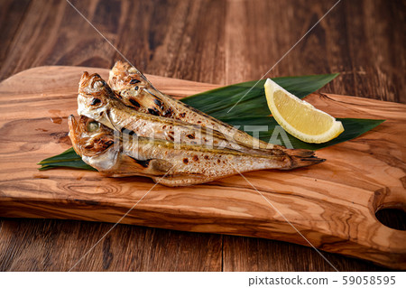 雷魚 59058595