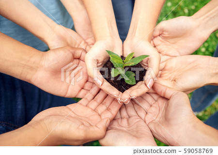 Volunteering. Young people volunteers outdoors together hands top view close-up holding tree 59058769