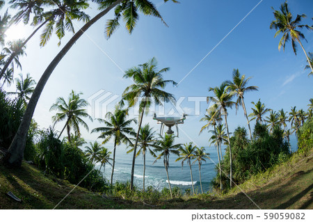 View of coconut trees at seaside under blue View of coconut trees at seaside under blue 59059082
