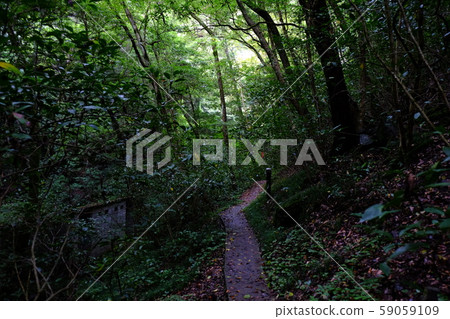 山梨龍宮峽峽邊的山路 59059109