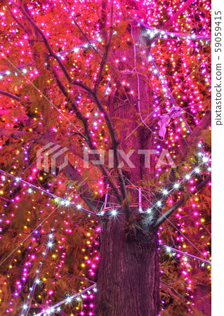 Pink tree Pink tree 59059415