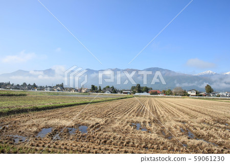 Rice field after rice harvesting EOS1D 1 Rice field after rice harvesting EOS1D 1 59061230