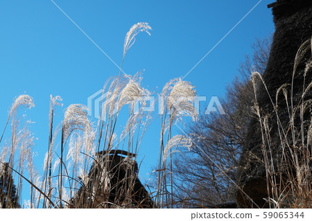 鈴木在深秋幹掉了鈴木 鈴木在深秋幹掉了鈴木 59065344