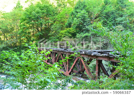 老森林鐵路鐵橋 老森林鐵路鐵橋 59066387