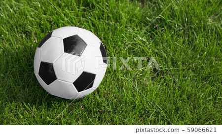 Soccer or football ball on soccer field. 59066621