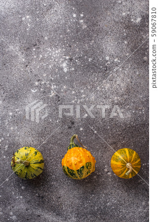 Small decorative organic pumpkins on grey Small decorative organic pumpkins on grey 59067810
