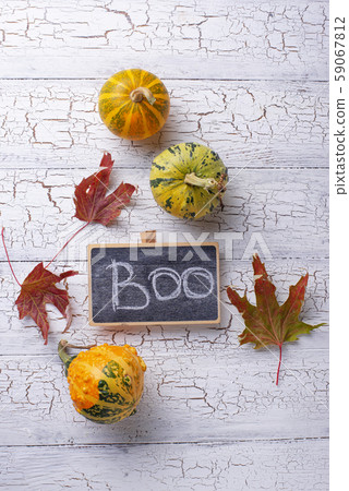 Halloween background with text Boo Halloween background with text Boo 59067812