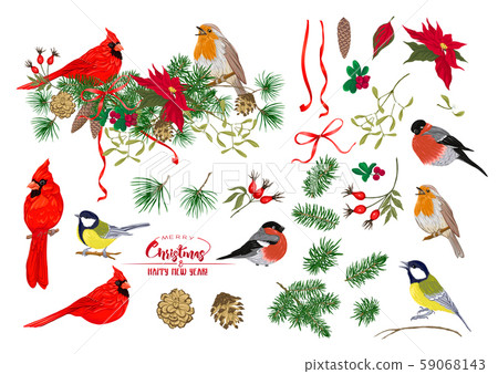 Birds and Christmas wreath set 59068143