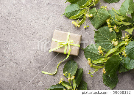 Flowers and leaves of linden tree 59068352