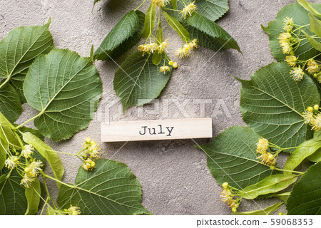 Flowers and leaves of linden tree Flowers and leaves of linden tree 59068353