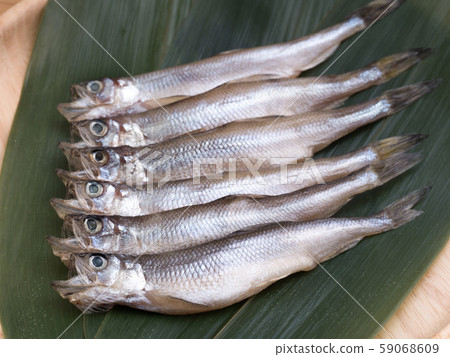 Children shishamo Children shishamo 59068609