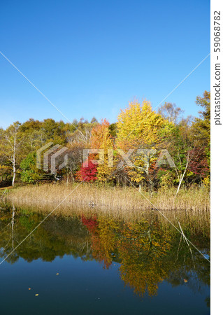 Autumn leaves of Lake Goddess Autumn leaves of Lake Goddess 59068782